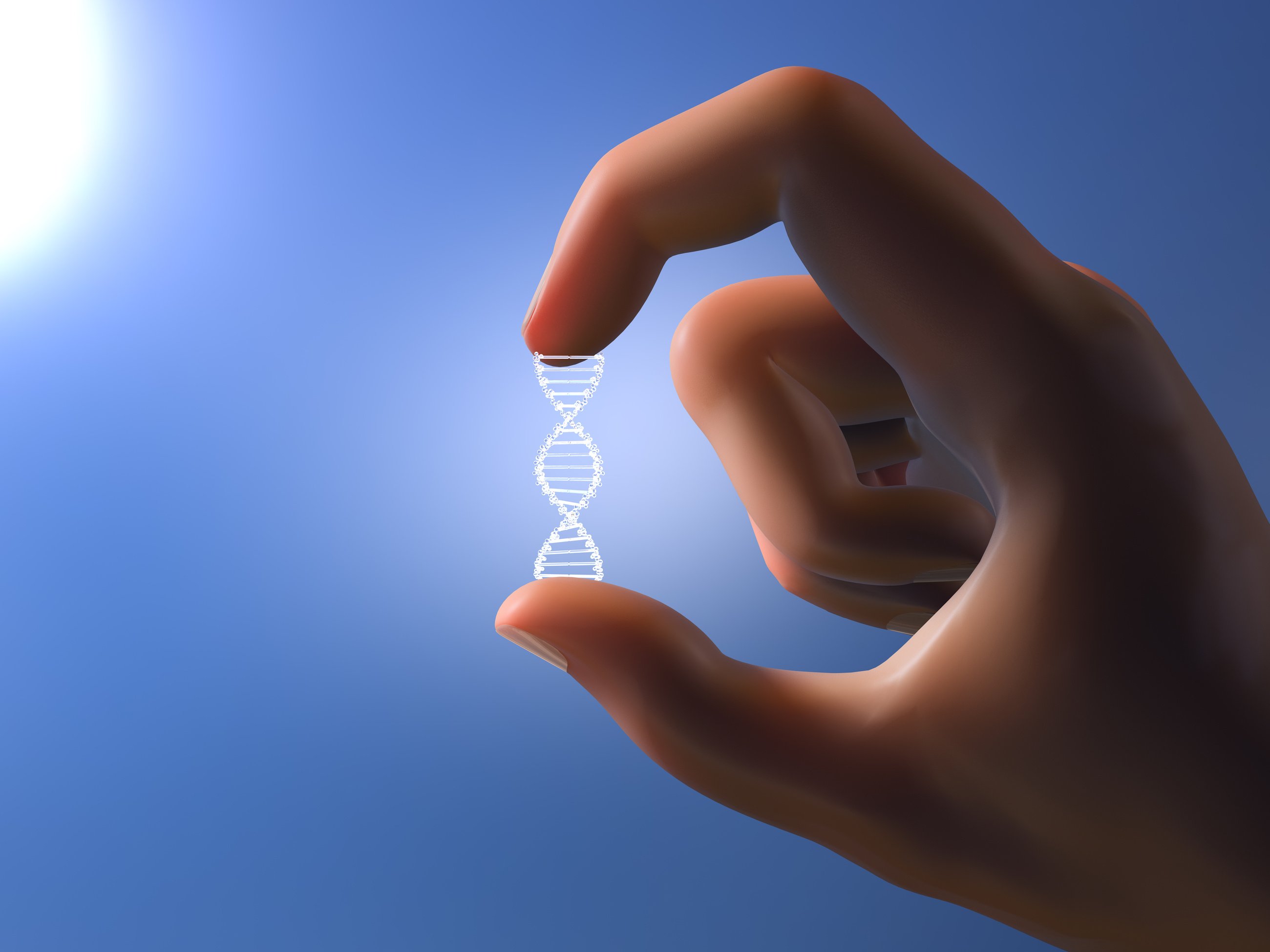 Hand Holding DNA Gene